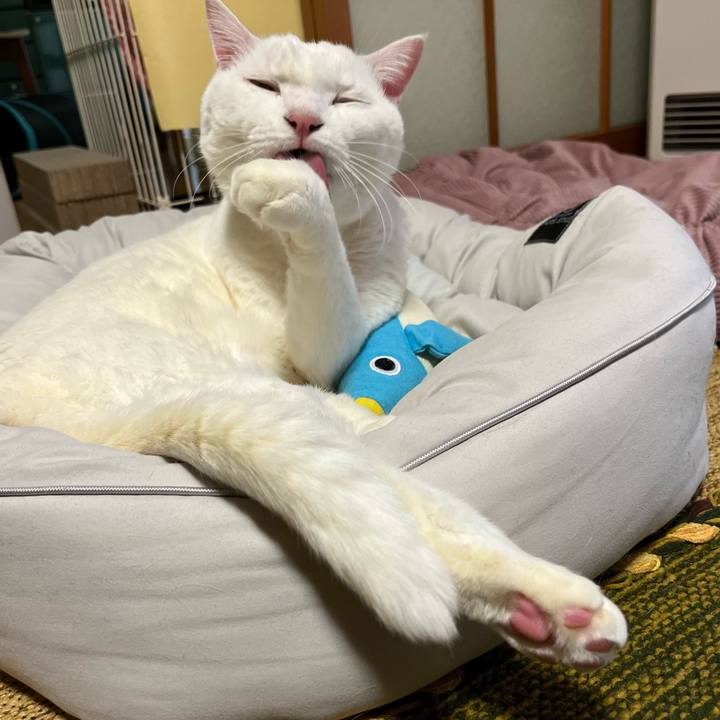 51d3944e 27fd 4b0c af86 2f09edfc99c1 1670454767574