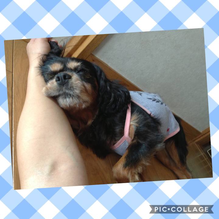 51d3e115 0080 4196 a2a3 dbbfda9ba84f 1566104135794