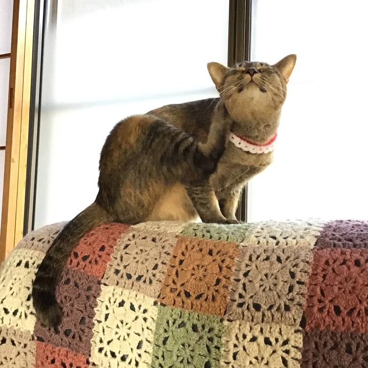 51d3f221 d930 447b 829d c965b2a9a982 1610174025829