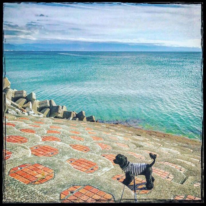 51d439e7 aeac 4f69 83fe 97e074943a01 1540636954924