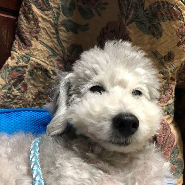 51d46582 0699 4e59 b32b e86becbeb2f4 1548977299607