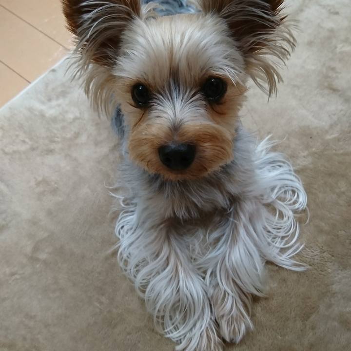 51d48b0f 9b8d 4b02 bf9c d4192fb37cea 1543532480063