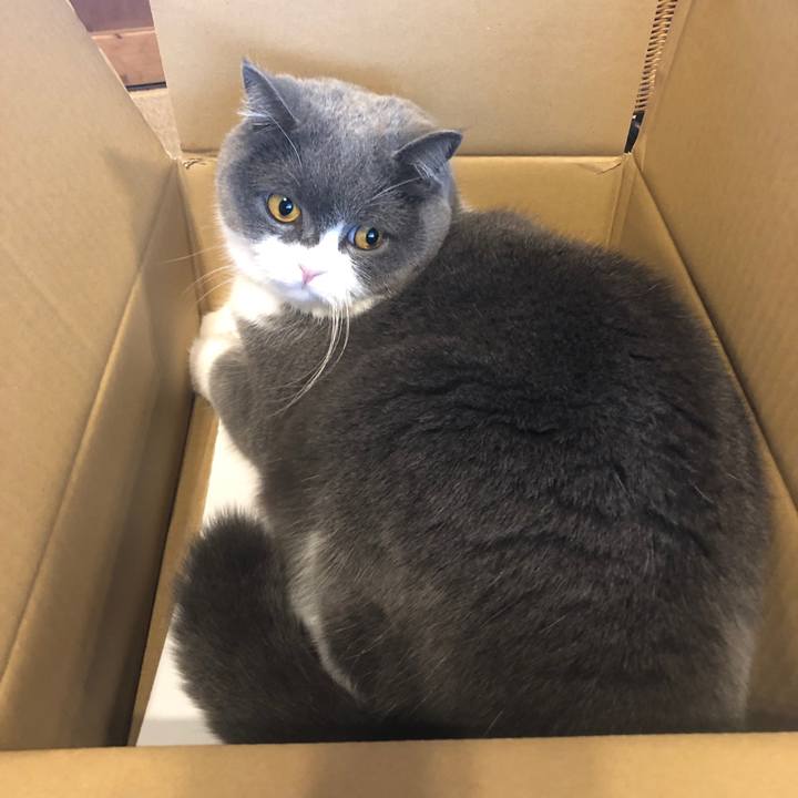 51d499f2 7b9a 4600 bf71 e279445dfe67 1578986807368