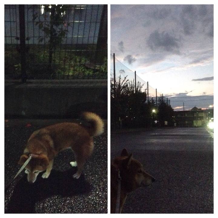 51d4b89b b5f8 4639 b683 98de57cde9f0 1537268039938