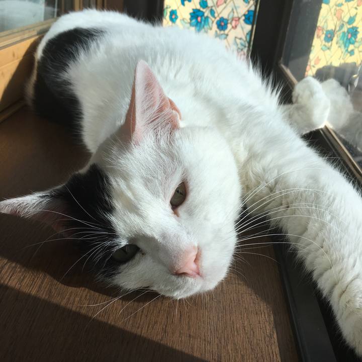 51d4e9e1 4e5d 4493 9100 8c4bc8dade43 1512906930806