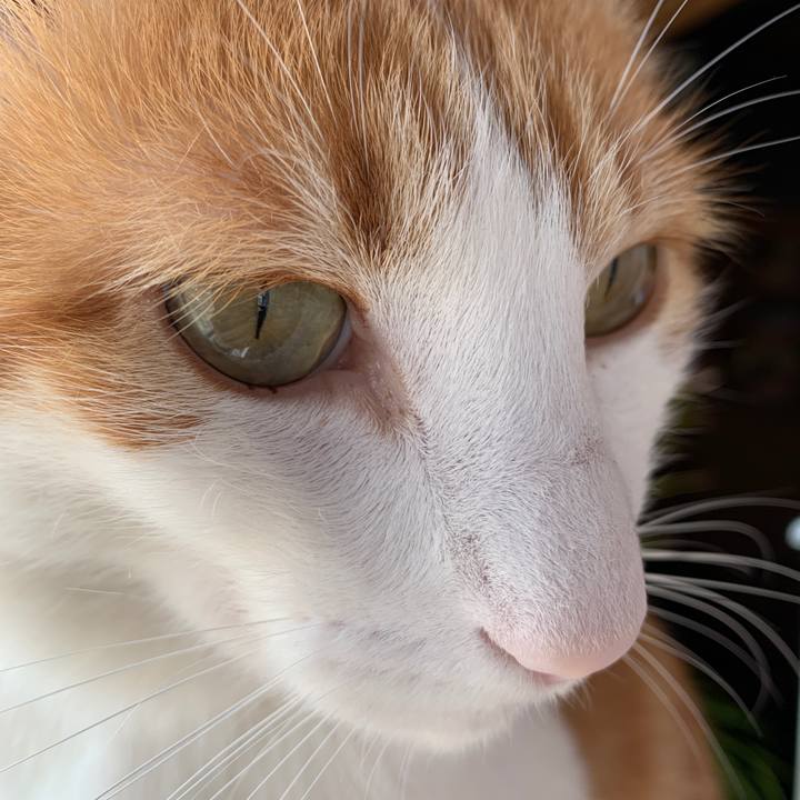 51d4ffd0 e008 48e0 8fa9 5f2175db2e6c 1585980711951