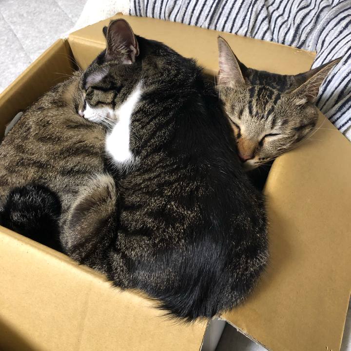 51d534a4 271f 4024 8b86 240ac4a2532d 1542140384536