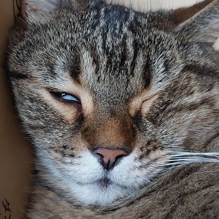 51d53ed2 f114 4e63 9922 c94b002bc9ae 1658808758789