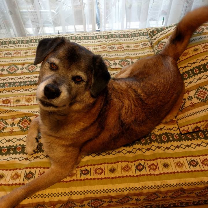 51d5406e 7d9a 42ec 83d7 ba03515bc8cf 1551665743054