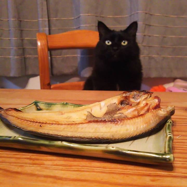 51d5417a 6cb7 40e3 a4a8 9498af0dfdd5 1522926118979