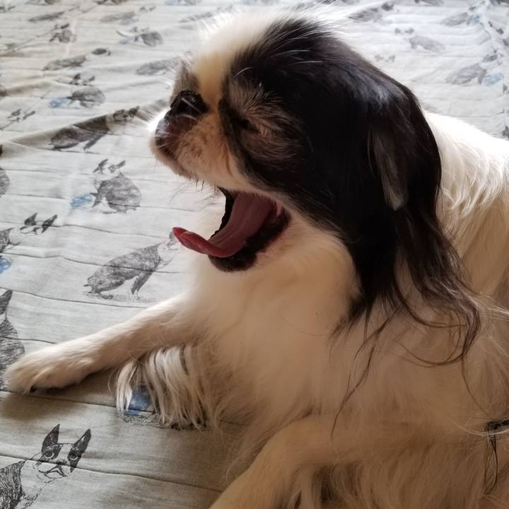 51d5461e ab1c 4cc1 9f49 7cc7452b50c7 1538905368803