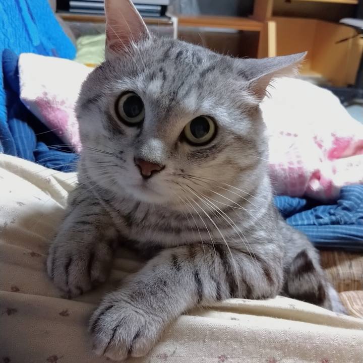 51d549ce 05b0 4123 8f97 383ea42737a7 1659280926173