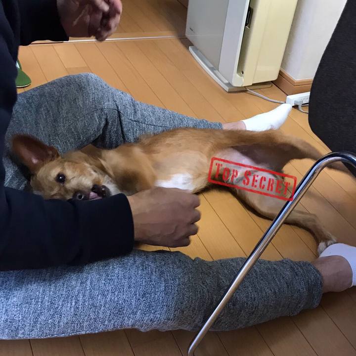 51d58a69 b0c9 4a8e 813b 161e4127d255 1572787134475