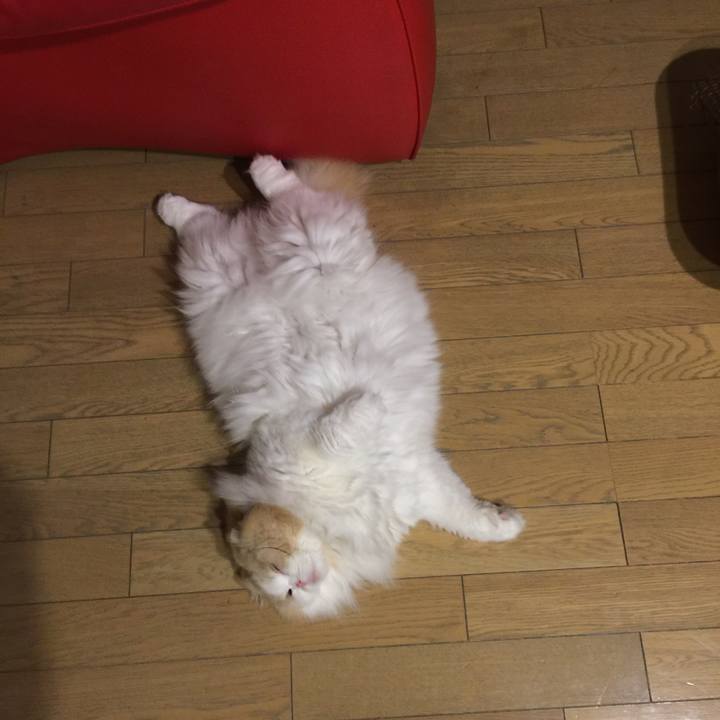 51d5a1e6 334f 47b9 ba4d 7c5a9cdd4f7c 1522771082476