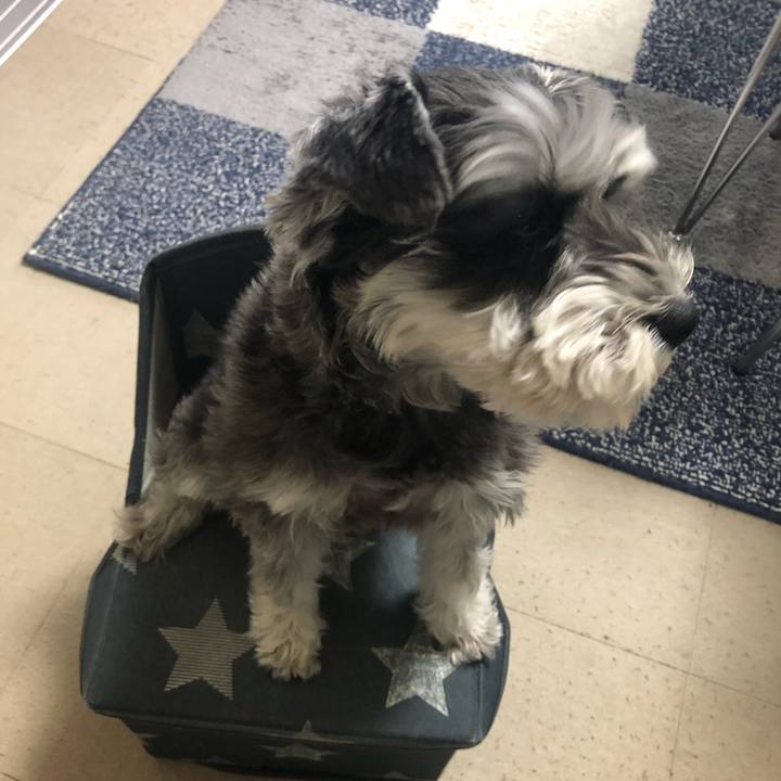 51d5cff0 48c5 4f87 b3fe 245ed430e866 1587166481197