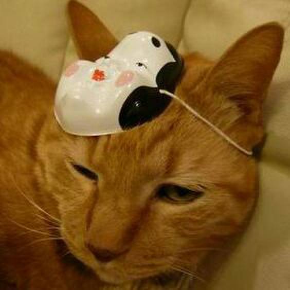 51d5e223 f756 44f3 b046 eb9374c334a0 1517677943242