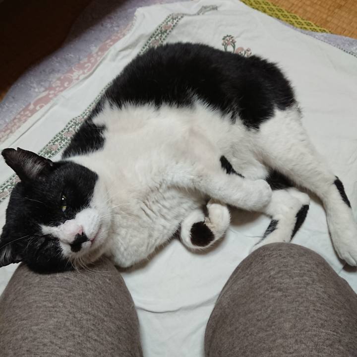 51d6482d 7029 43f8 aa48 ffa567b36fdd 1667653078148