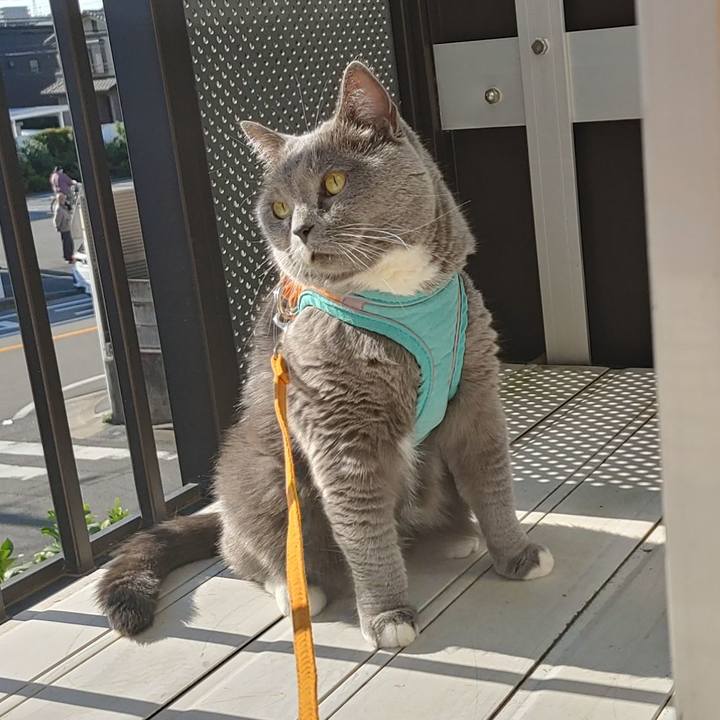 51d66be9 a4b0 4f17 8201 442035801480 1763168677689