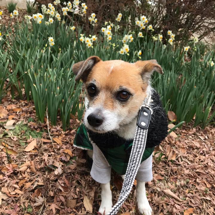 51d6829f 29bd 401f a6ee ab9edd013fea 1548575543334