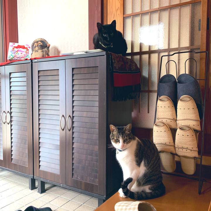 51d689cc b143 4567 b538 ba5d1fe955e7 1559347699731