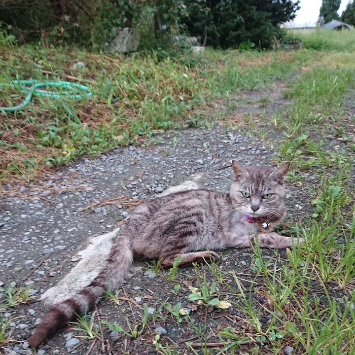 51d69a88 1bc5 4fd1 b5a2 fb2c27df24bc 1598863581961