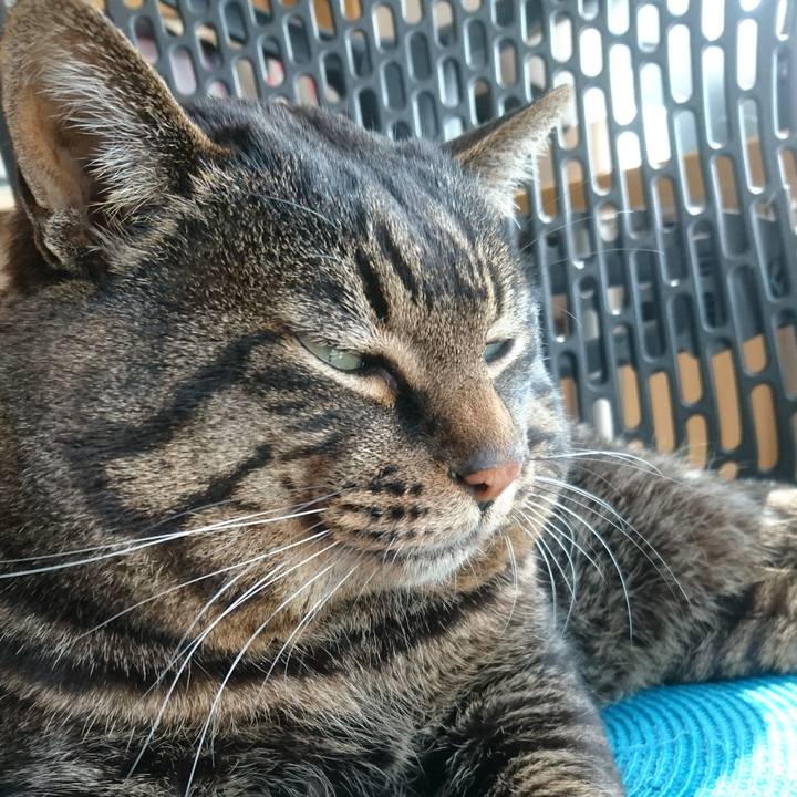 51d6f9a6 78f5 415f 91c0 5e8d3ee434b6 1522189070690