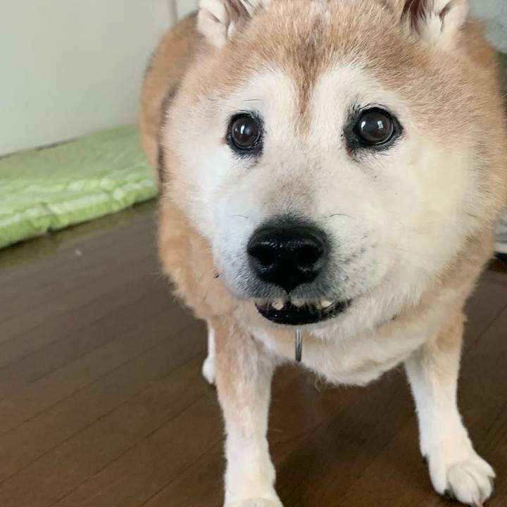 51d6fd6d c283 4bd4 b9b0 fa62a03ca677 1656810299507