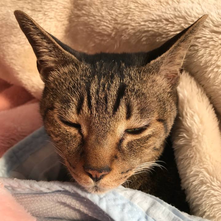 51d72d46 ce72 4275 95b1 d500d38b8c95 1522373429996