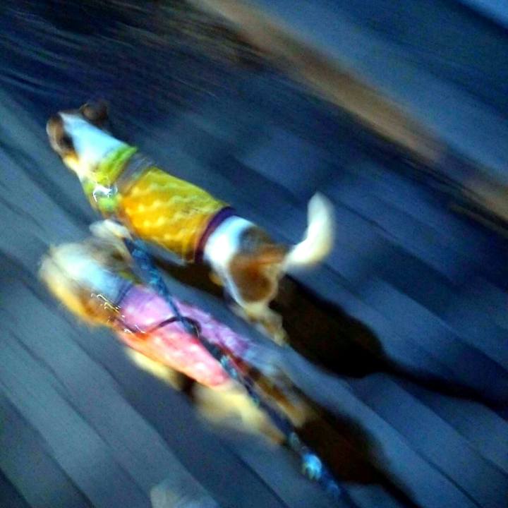 51d747ba fd49 40c4 a2b9 48d340af132c 1516536202064