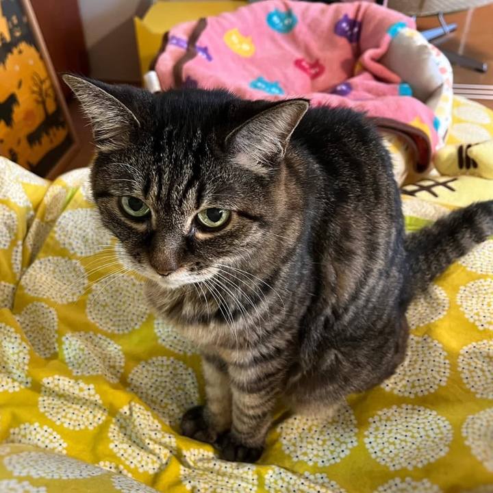 51d7caef 2ead 45b8 ba22 b024254faecd 1760319965381