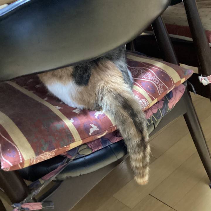 51d7fdc7 0983 4d0f 8b29 fd7377e42077 1645761608814