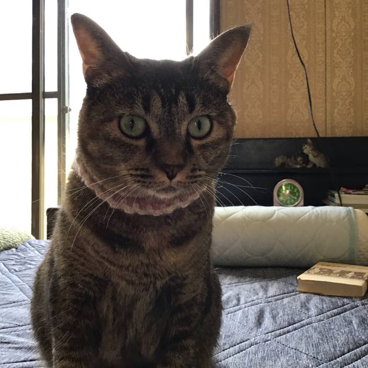 51d820fa c6e7 4b13 b2a9 fcf7babf7868 1695040528000