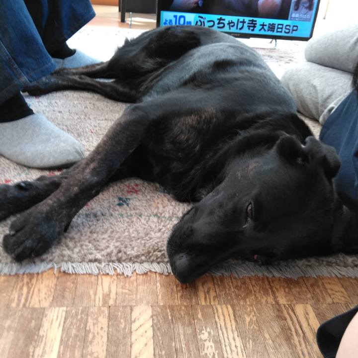 51d83785 7e67 40bd b02e a565257dcff9 1577766041883