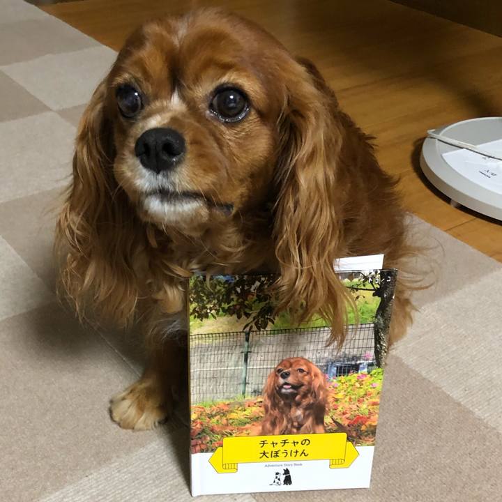 51d84dee f3ea 4919 bbaf f30f4a7b6665 1625052145589