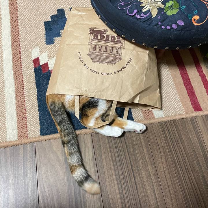 51d859fb bec6 4a2e ad07 dfefaeb98a87 1631586198093