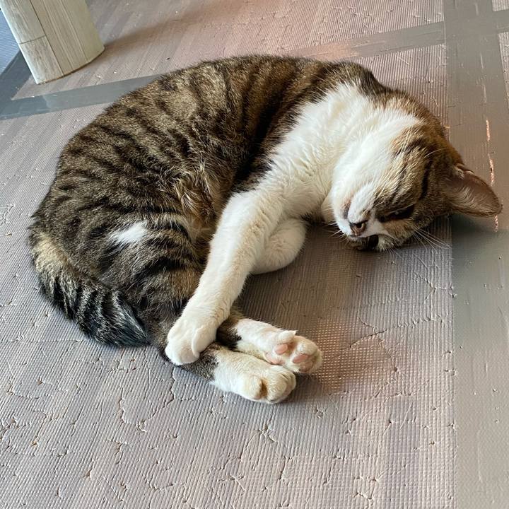 51d87805 2480 4d19 aec2 7a3f73e0e2c5 1653453870630