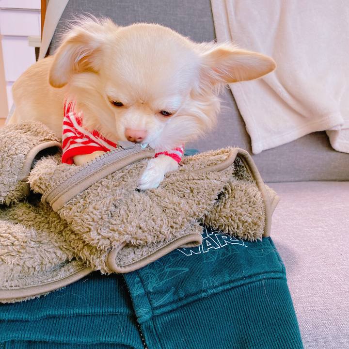 51d896df 5265 4b60 9153 6c18811f0b29 1637048328065