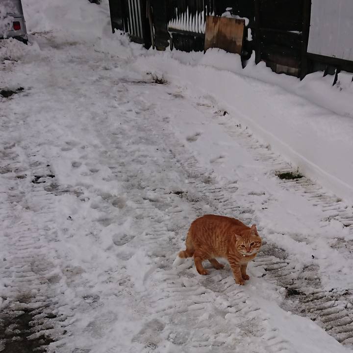 51d89f43 5930 42e4 b35e c5c2a914a96b 1641088576987