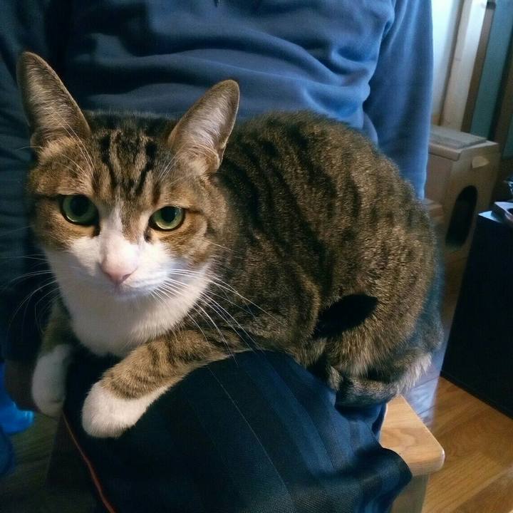 51d8dbf4 32c9 486f 8757 fb0eb5c4593c 1543103845602