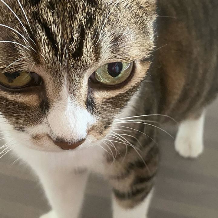 51d8fe0c 7904 4b8e 8997 d3db12f86b10 1629082682730