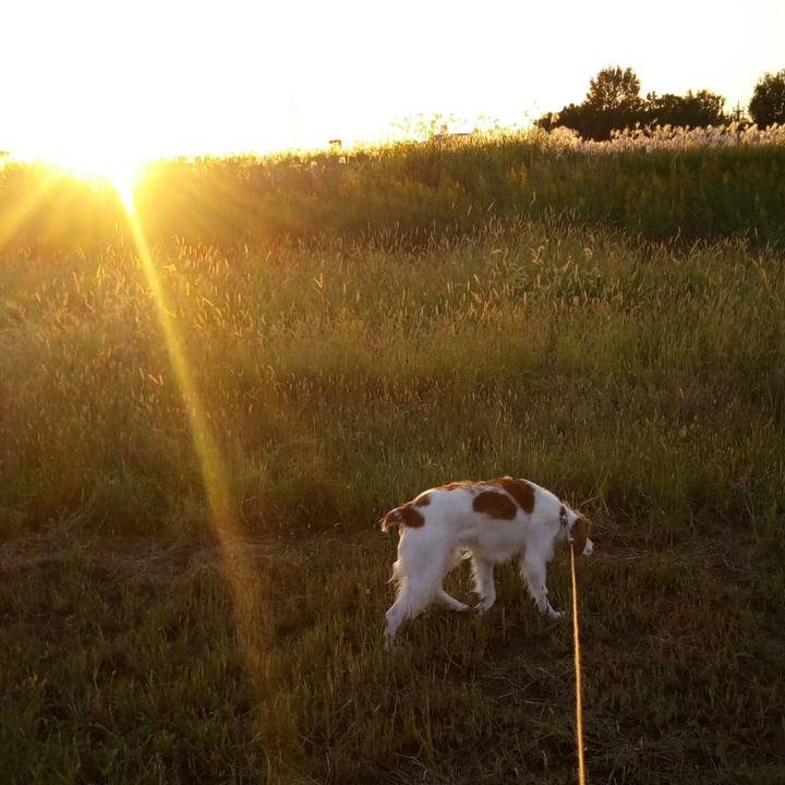 51d91c02 fd0f 49c2 9e97 971c354ae910 1509525213271