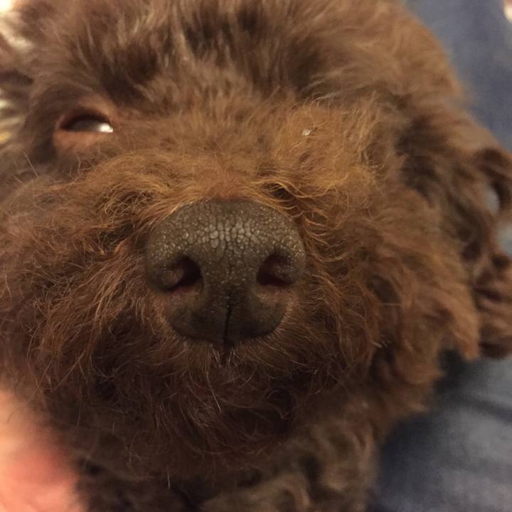 51d962c9 13a5 4a9d 9d89 dcddb92daf8c 1523486173597