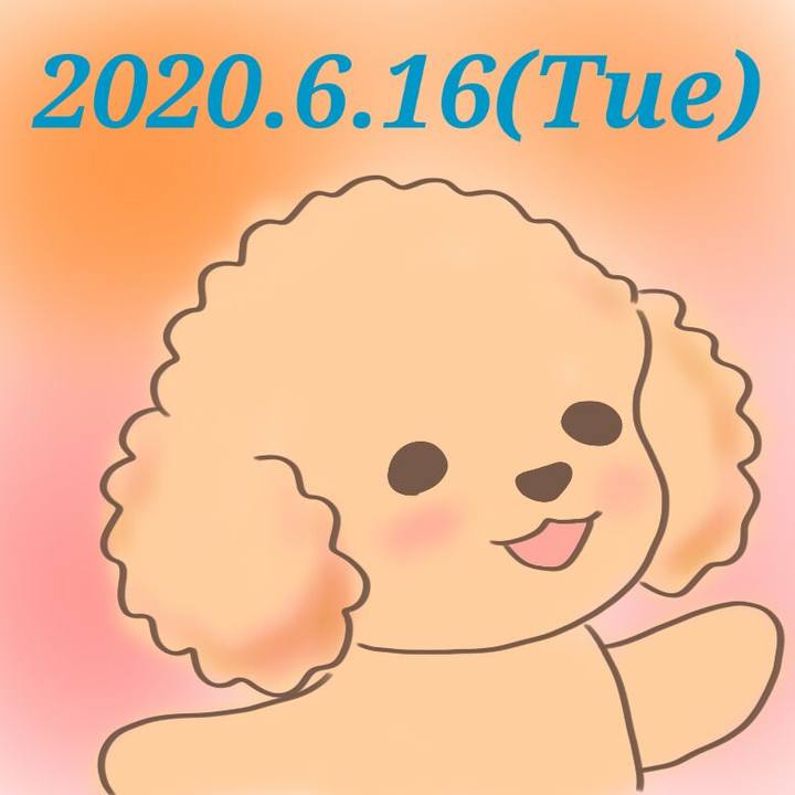 51d97a0e 46b1 432c a447 3c53c1c69aed 1592312611698