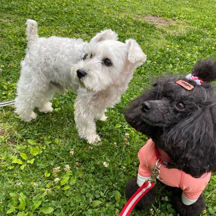 51d99f55 cf0b 45e5 a9a2 5bfd805e5c6c 1654682793886