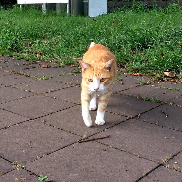 51d99fa6 d0fa 4bd7 b970 b401c8c87022 1535617098781