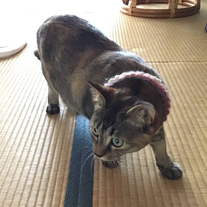 51d9a209 e21a 473d a227 1014edbc04eb 1624516526386