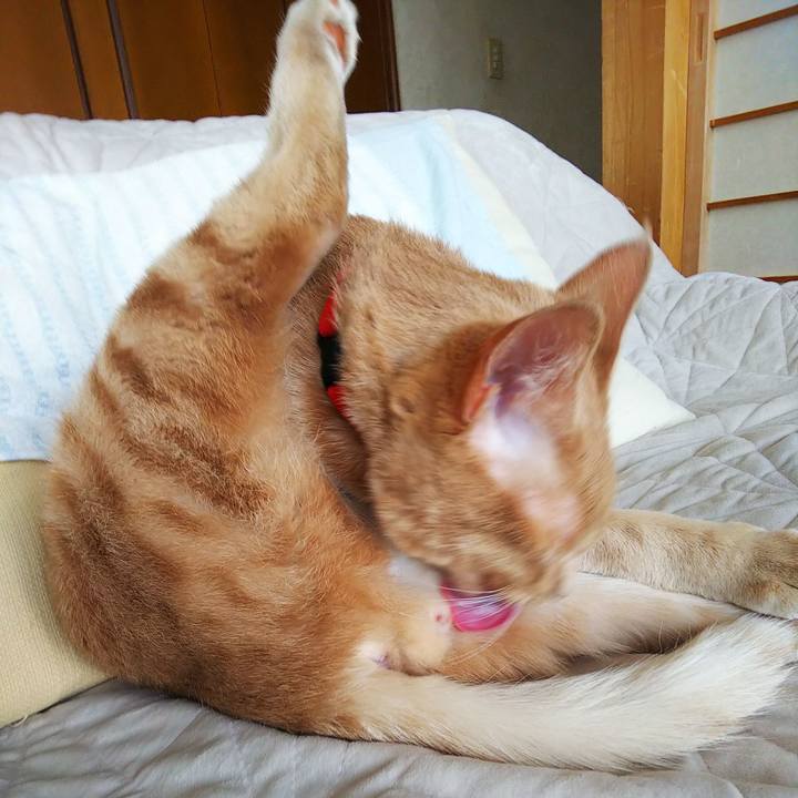 51d9a652 092f 4cd2 91d2 b42df38c7f2c 1554882854796