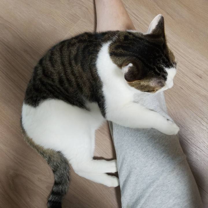 51d9c248 4111 47a6 9024 170285f96ffc 1558559927796