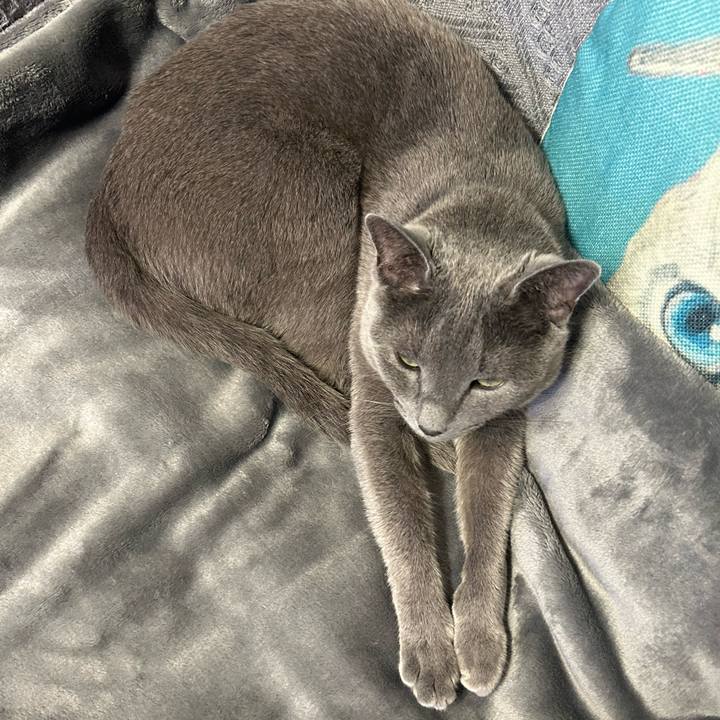 51d9d746 b526 40d5 8958 127b1c5472ff 1709523068466