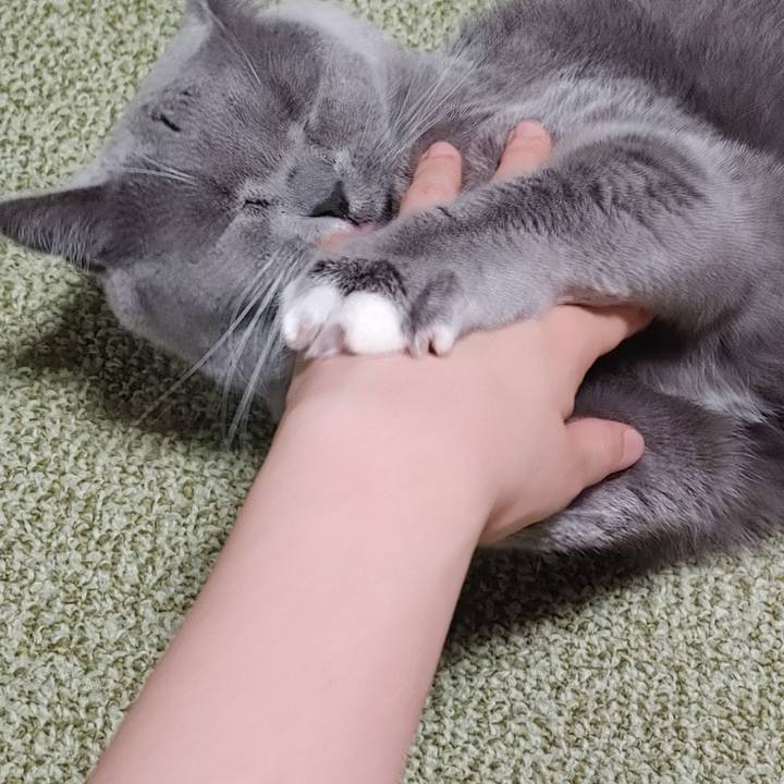 51d9f810 4915 437e a4cd 0b12e14dbbb1 1678444356919